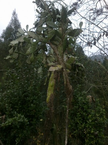 \"5年感慨多！\"