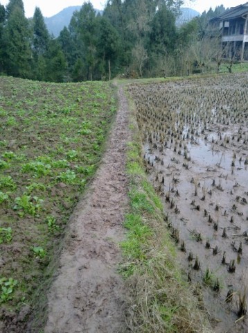 \"5年感慨多！\"