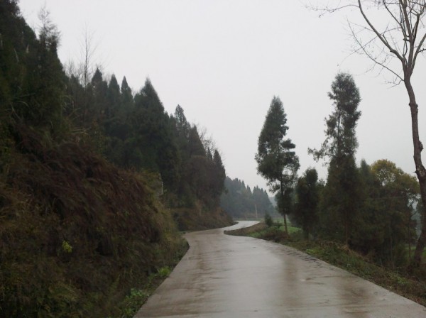 \"5年感慨多！\"