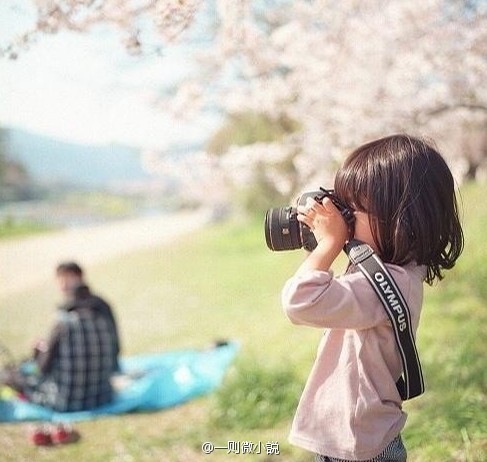 2哥博客 \"浅步调\"