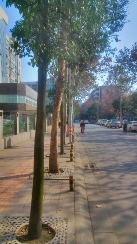 \"IMG_20160121_131547_HDR_1453385396985\"