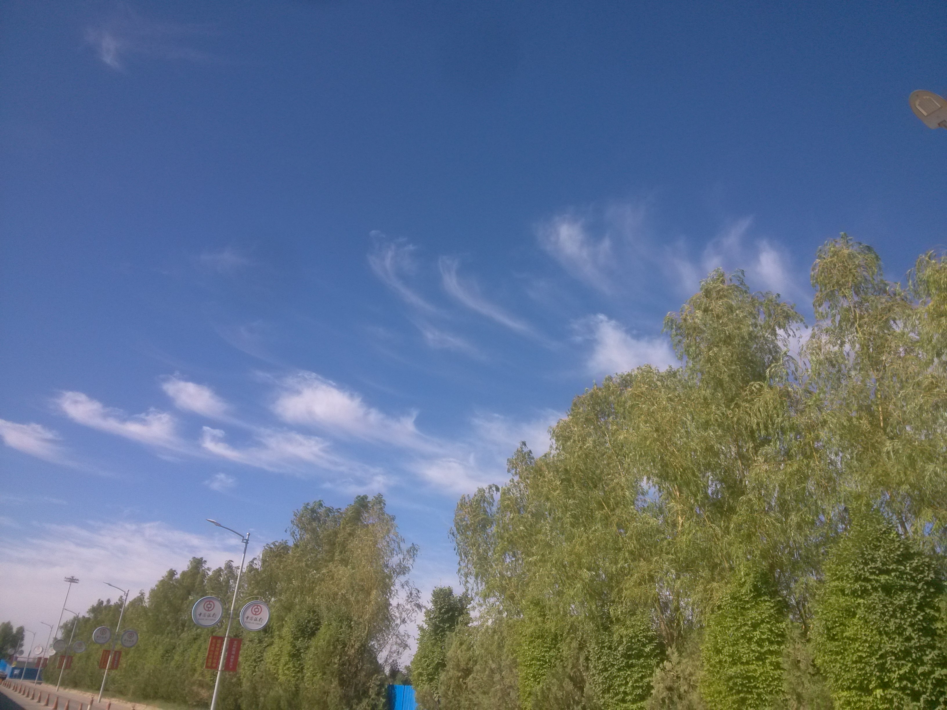 \"IMG_20160716_093150\"