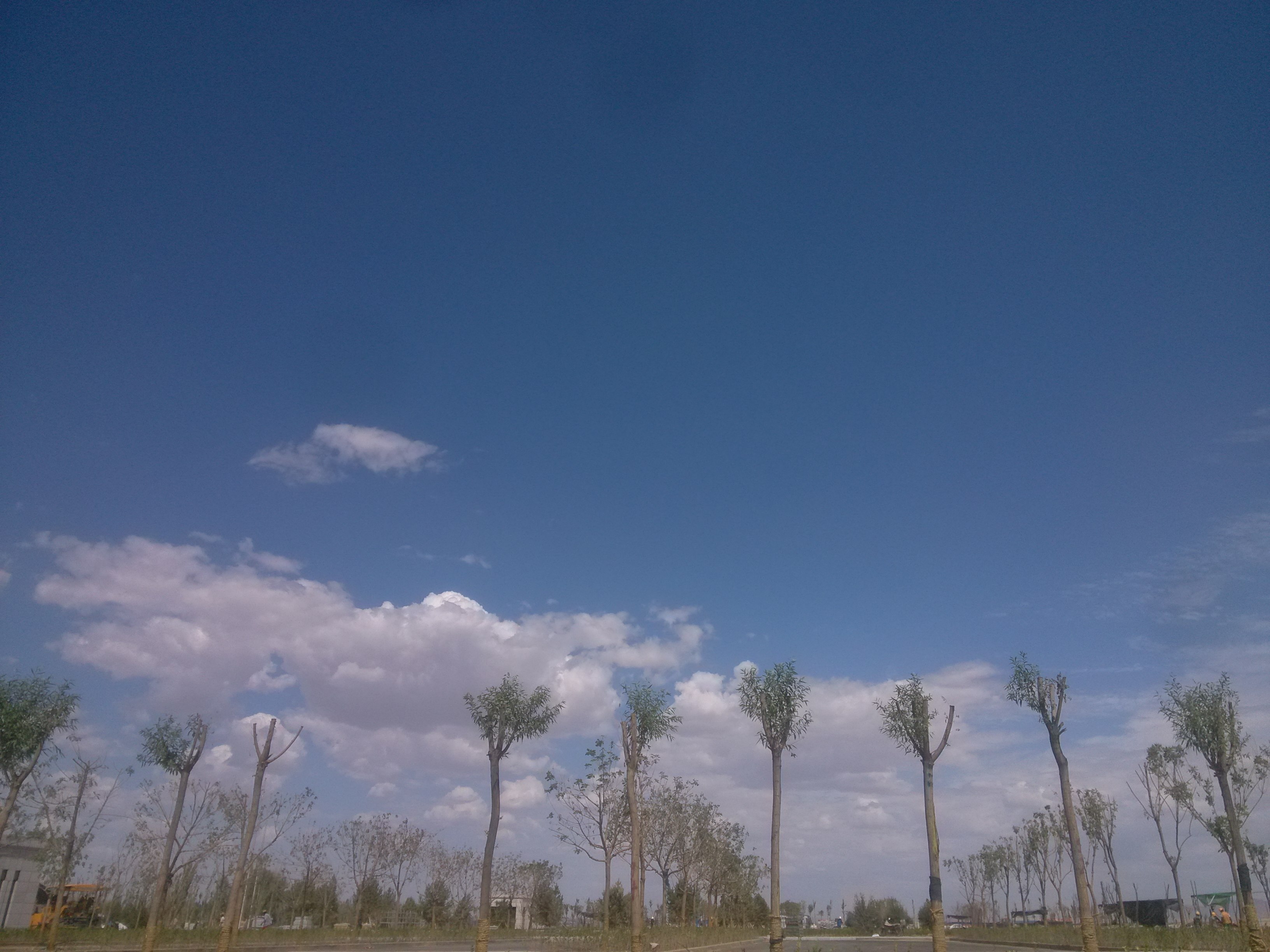 \"IMG_20160717_155055\"