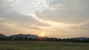 \"IMG20171011070201-01\"