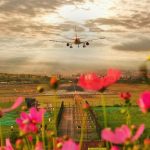 △2018年6月，#成都新网红打卡地# 云华新村，拍的好不如P得好。开满格桑花的小山坡，静候着每一趟班机的归来，却渐凋零。