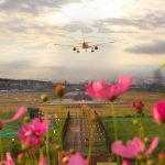 △2018年6月，#成都新网红打卡地# 云华新村，拍的好不如P得好。开满格桑花的小山坡，静候着每一趟班机的归来，却渐凋零。