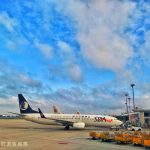 △2017年8月，山东青岛。