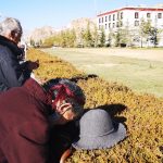 布达拉宫下虔诚的信徒